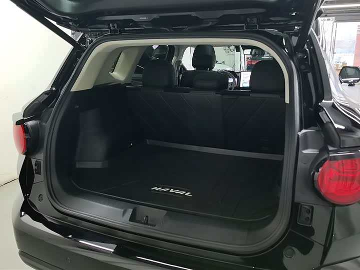 Photo 4 - Haval H-Dog