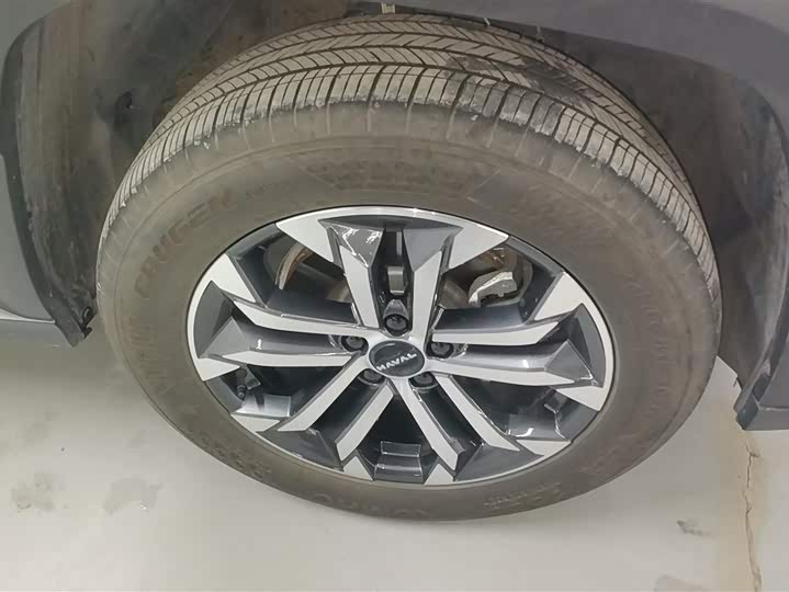 Photo 6 - Haval H-Dog