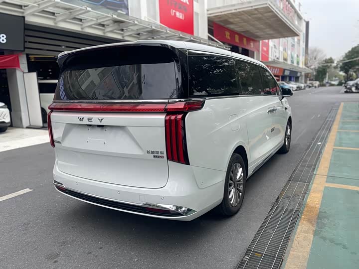 Фото 3 - Wey Gaoshan