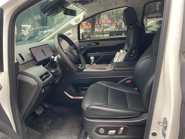 Фото 5 - Wey Gaoshan