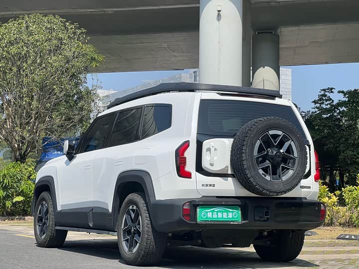 Фото 4 - Changan Deepal G318