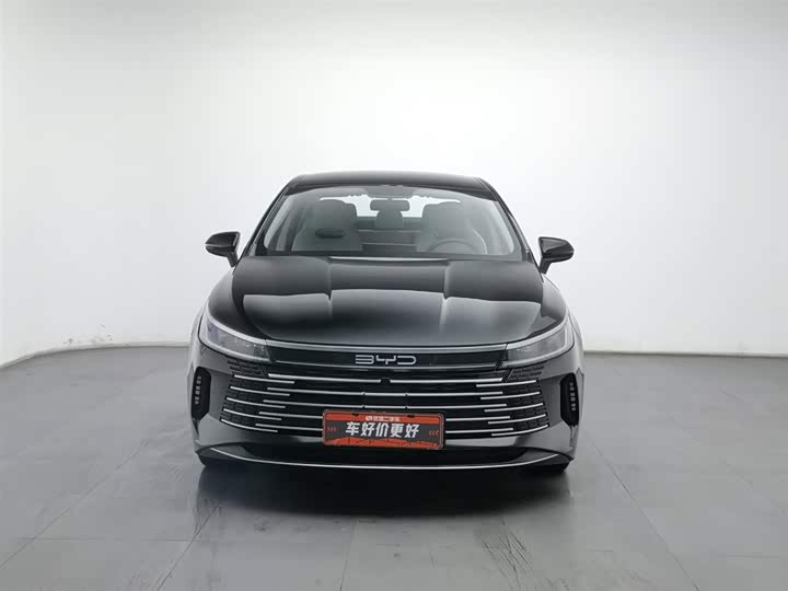 Photo 3 - BYD Destroyer 05