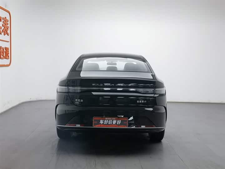 Photo 4 - BYD Destroyer 05