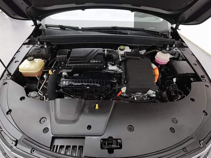 Photo 6 - BYD Destroyer 05