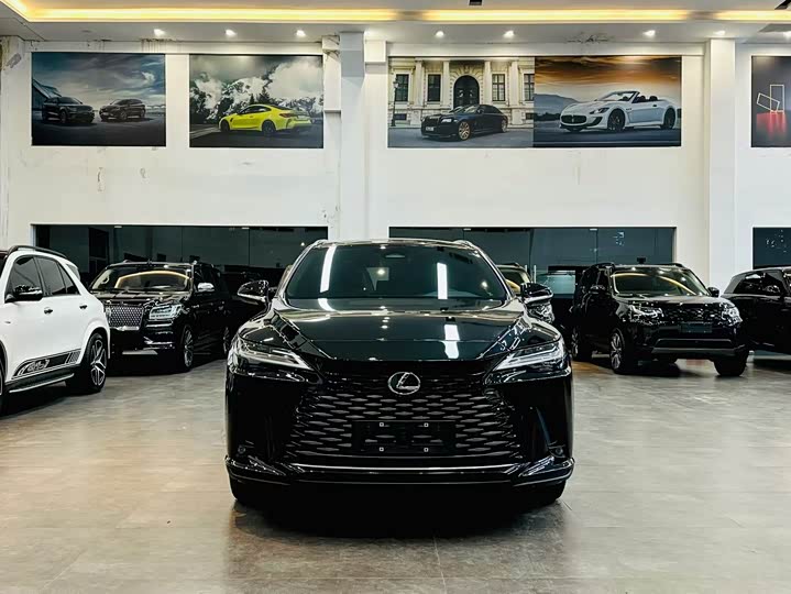 Фото 2 - Lexus RX