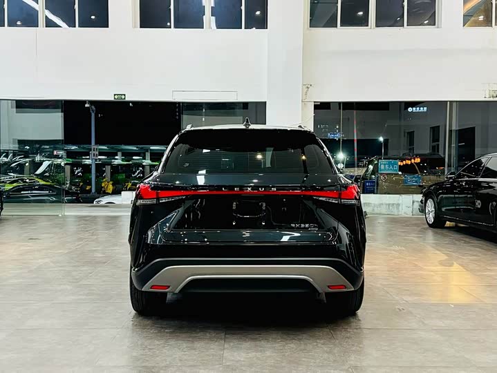 Фото 5 - Lexus RX