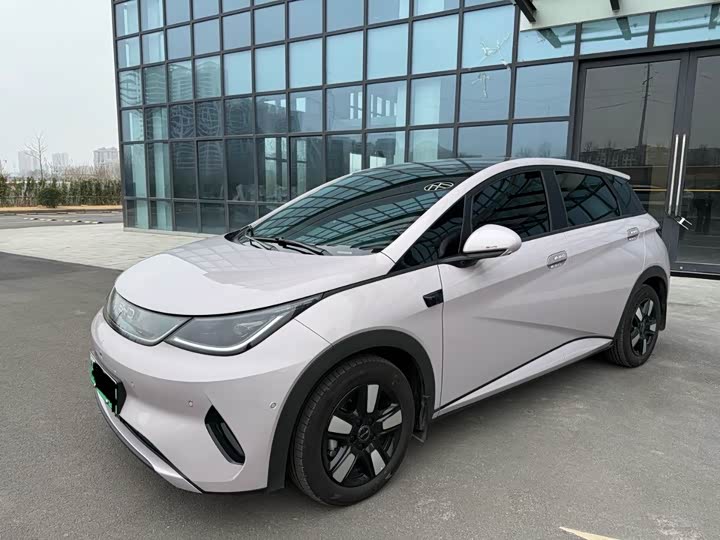 Фото 1 - BYD Dolphin