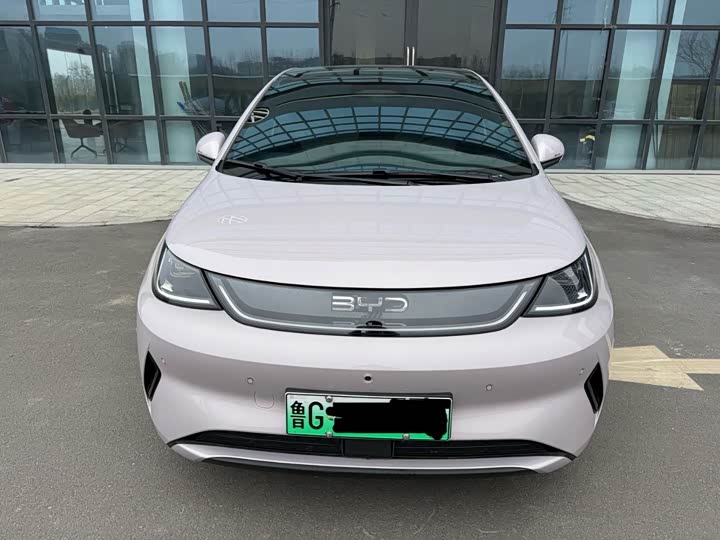 Фото 2 - BYD Dolphin