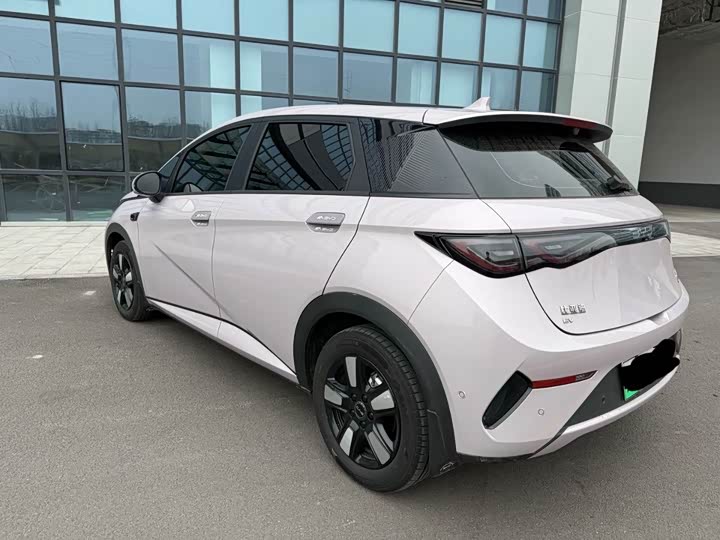 Фото 3 - BYD Dolphin