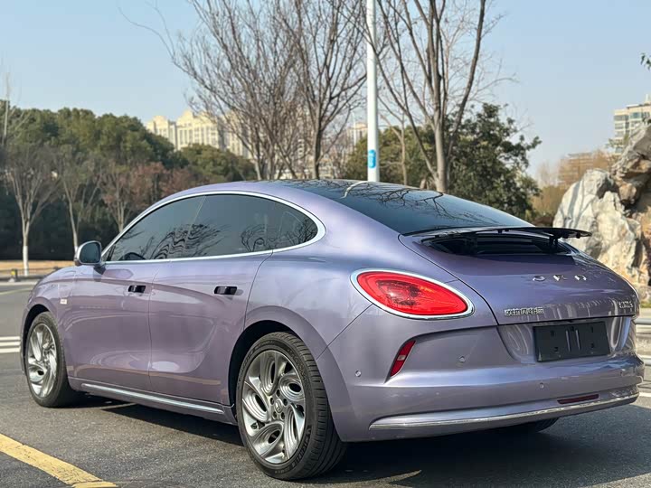 Photo 5 - Ora Lightning Cat (07)