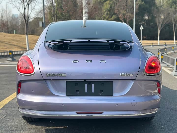 Photo 6 - Ora Lightning Cat (07)