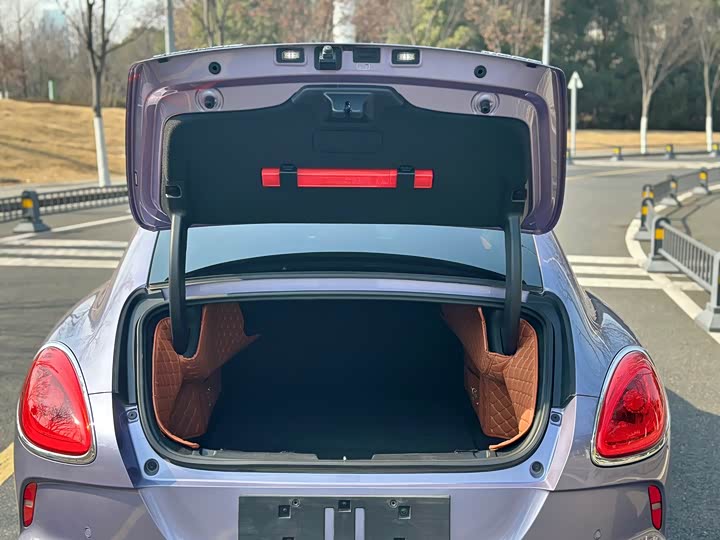 Photo 9 - Ora Lightning Cat (07)