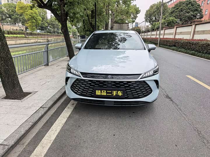 Фото 2 - BYD Qin Plus
