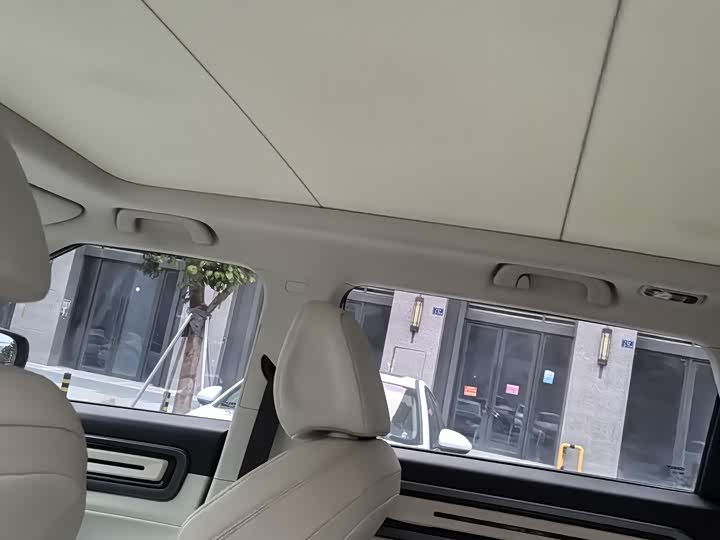 Фото 8 - Geely Icon