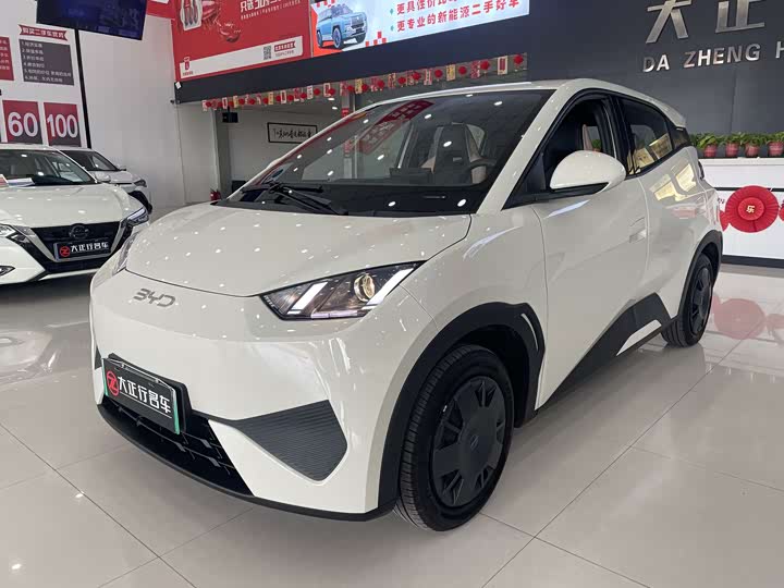 Фото 1 - BYD Seagull