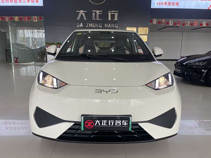 Фото 2 - BYD Seagull