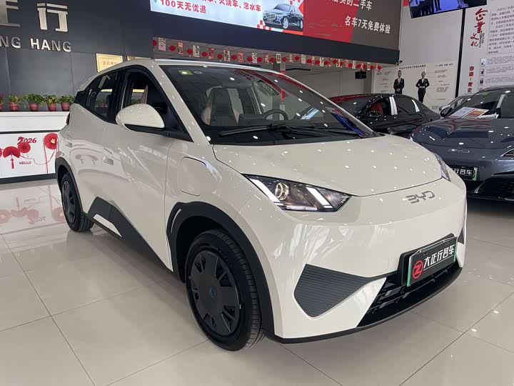 Фото 6 - BYD Seagull