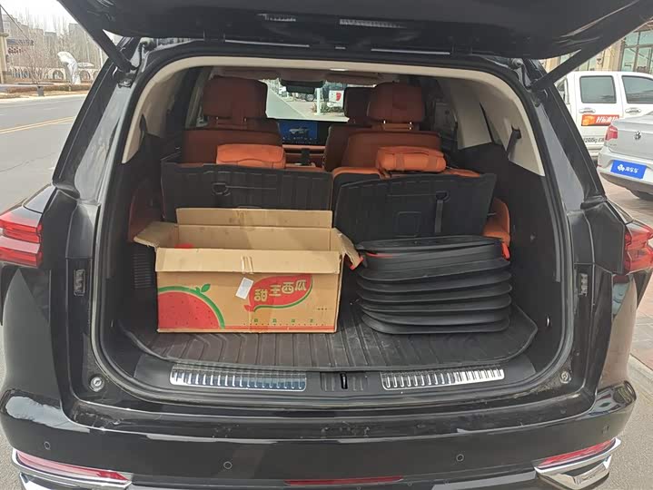 Фото 4 - Wey Lanshan