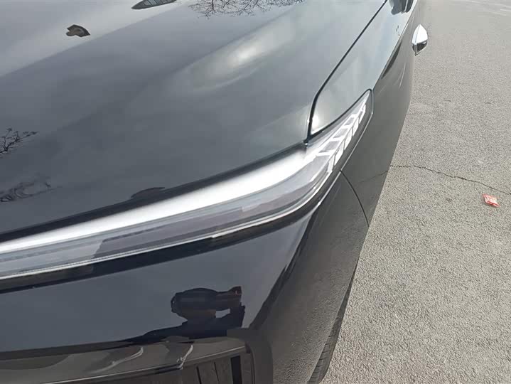 Фото 5 - Wey Lanshan