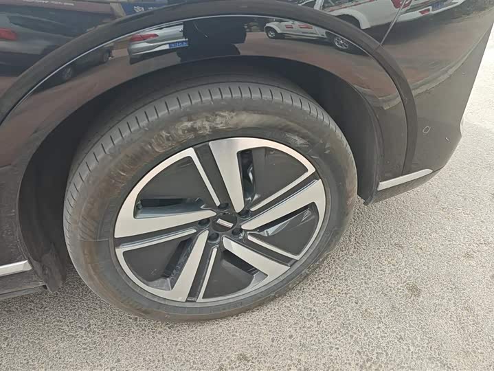 Фото 6 - Wey Lanshan