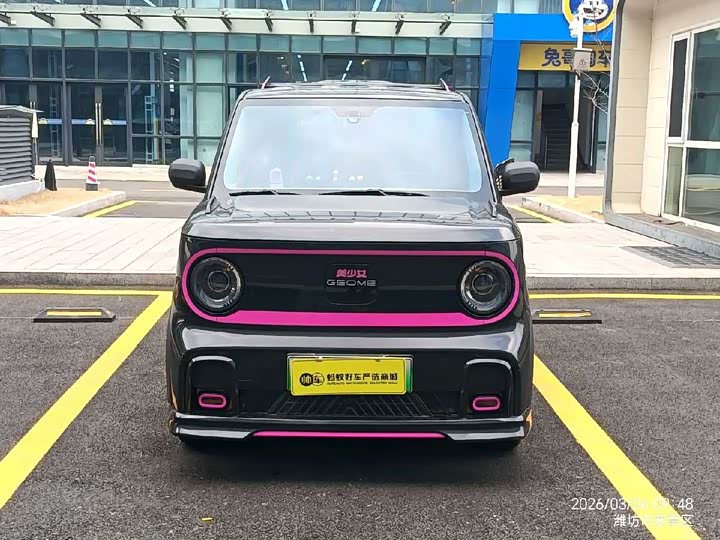 Фото 2 - Geely Galaxy Panda Mini
