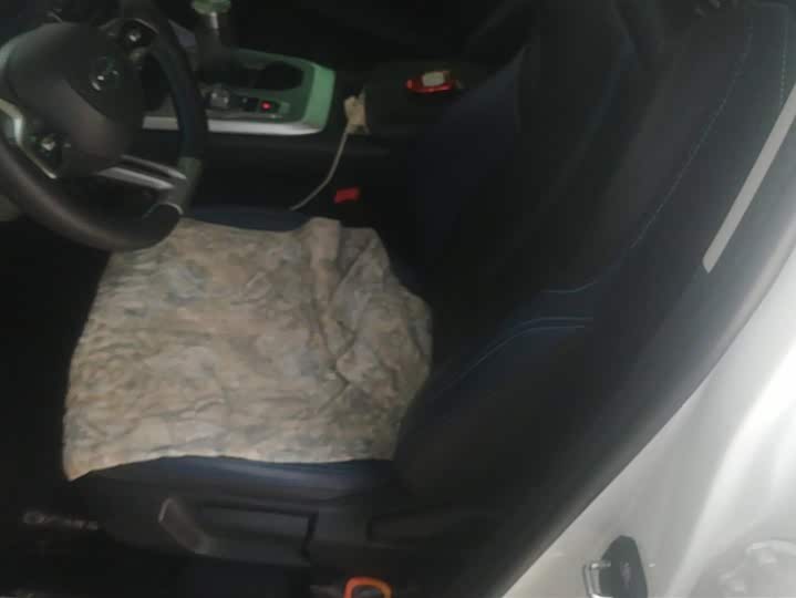 Фото 9 - GAC Trumpchi GS3