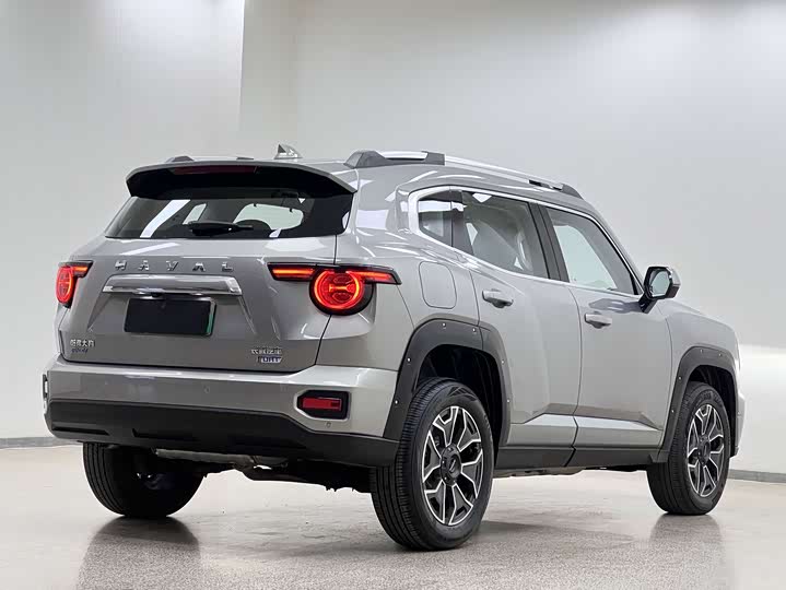 Фото 6 - Haval H-Dog Hybrid