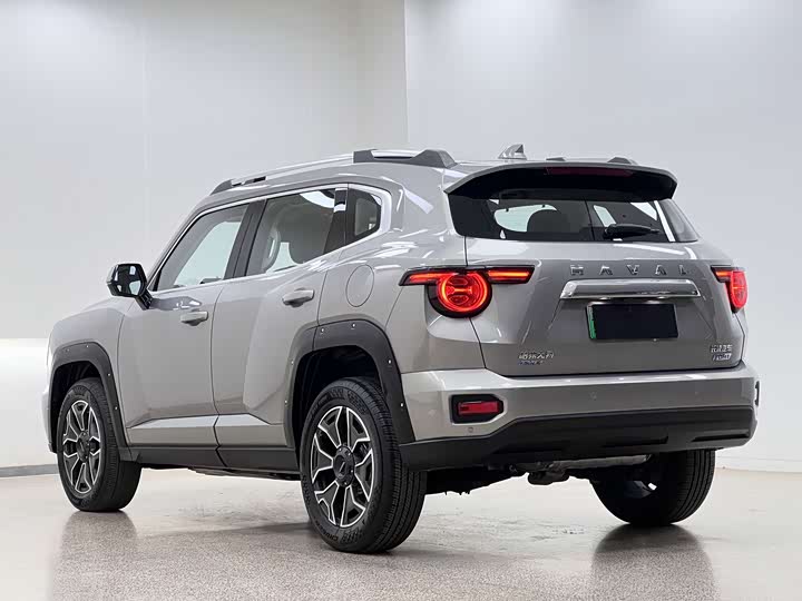 Фото 7 - Haval H-Dog Hybrid