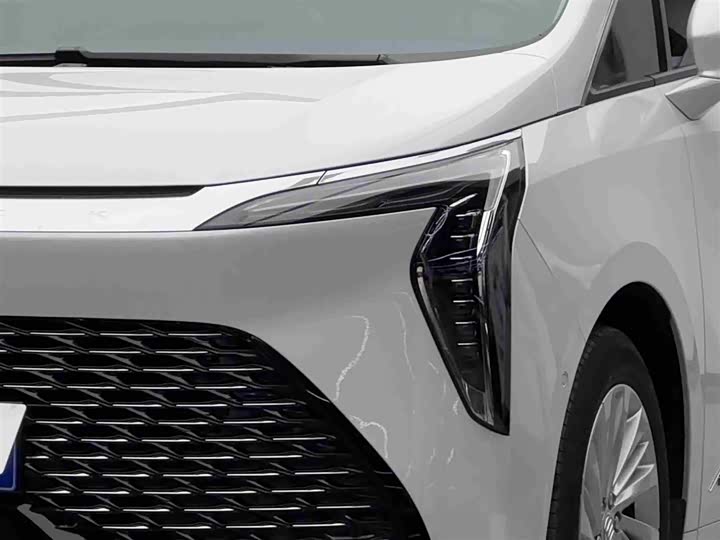 Photo 3 - Buick GL8 Century