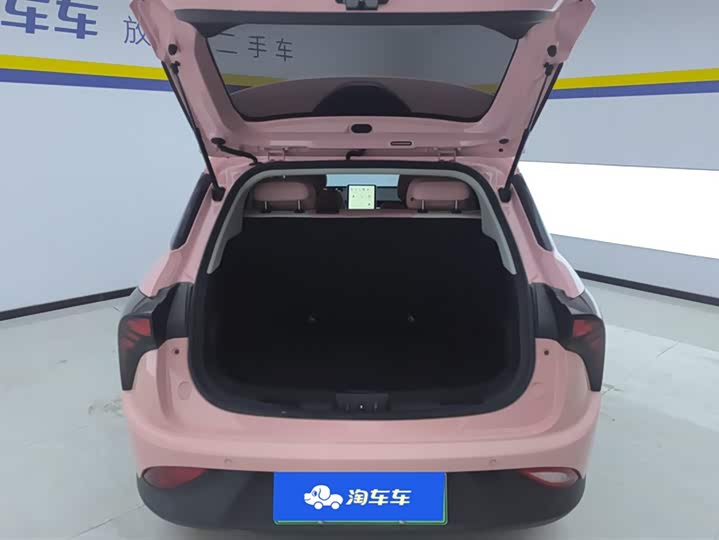 Фото 4 - Hozon V