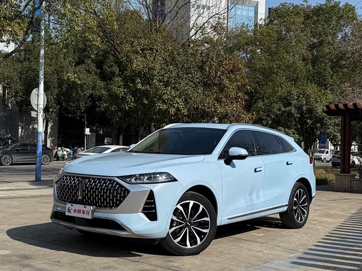 Фото 1 - Wey Mocha