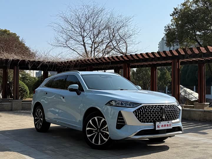 Фото 3 - Wey Mocha