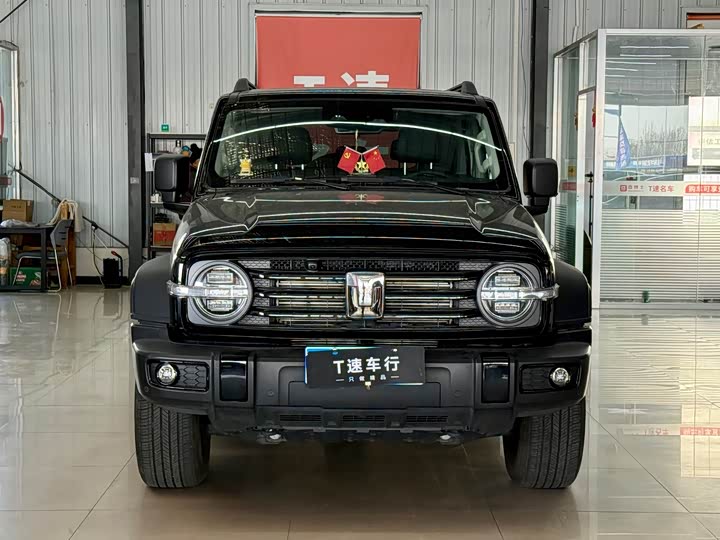 Фото 2 - Tank 300