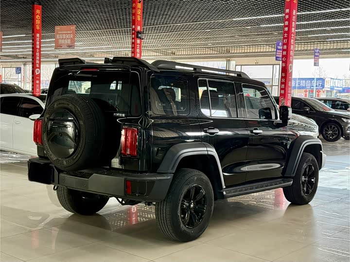 Фото 4 - Tank 300