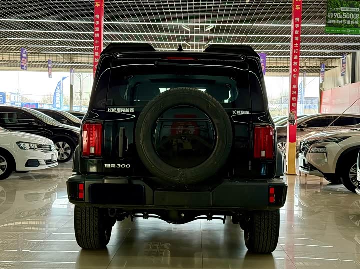 Фото 5 - Tank 300