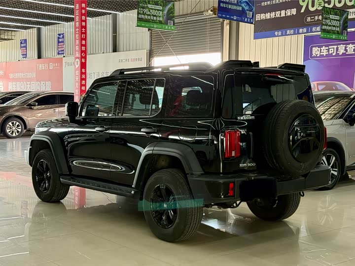 Фото 6 - Tank 300