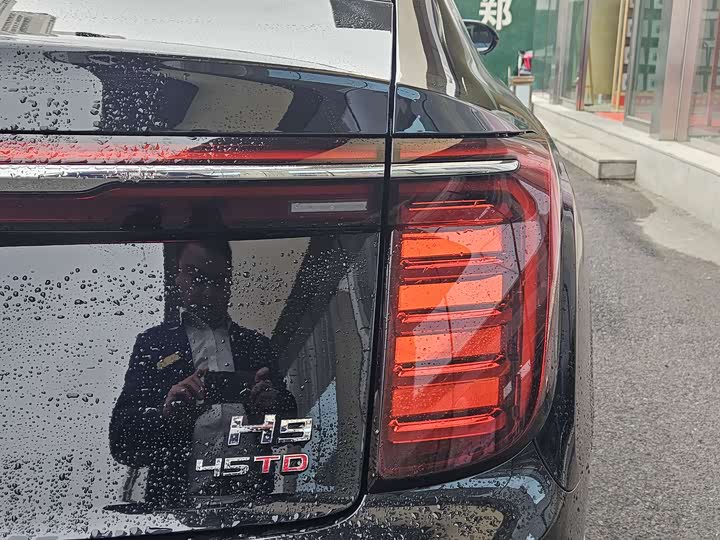 Фото 9 - Hongqi H9