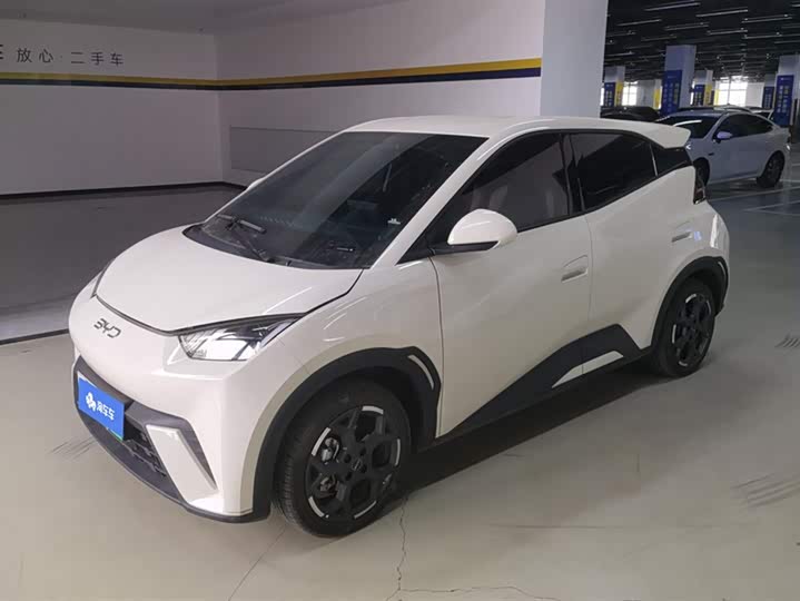 Фото 1 - BYD Seagull