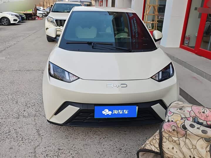 Фото 2 - BYD Seagull