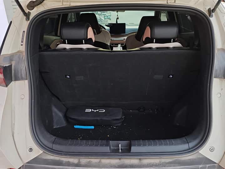 Фото 4 - BYD Seagull