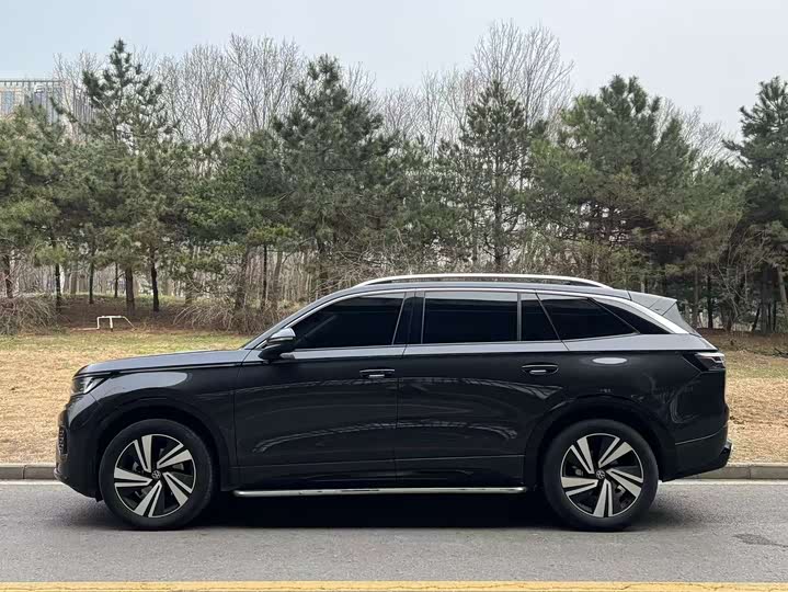 Фото 3 - Volkswagen Tavendor