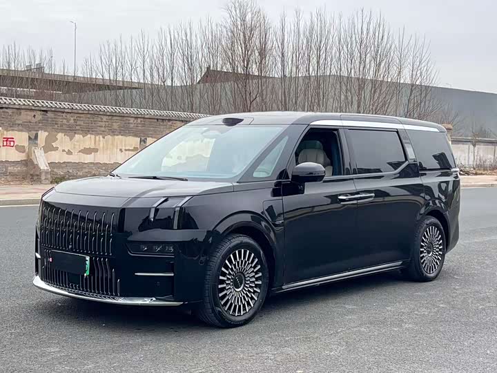 Фото 1 - Zeekr 009