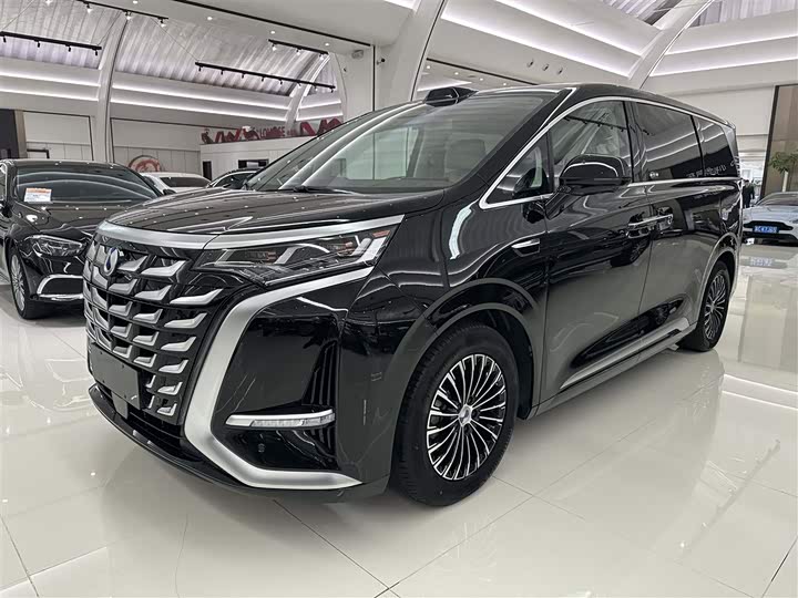 Фото 1 - Denza D9