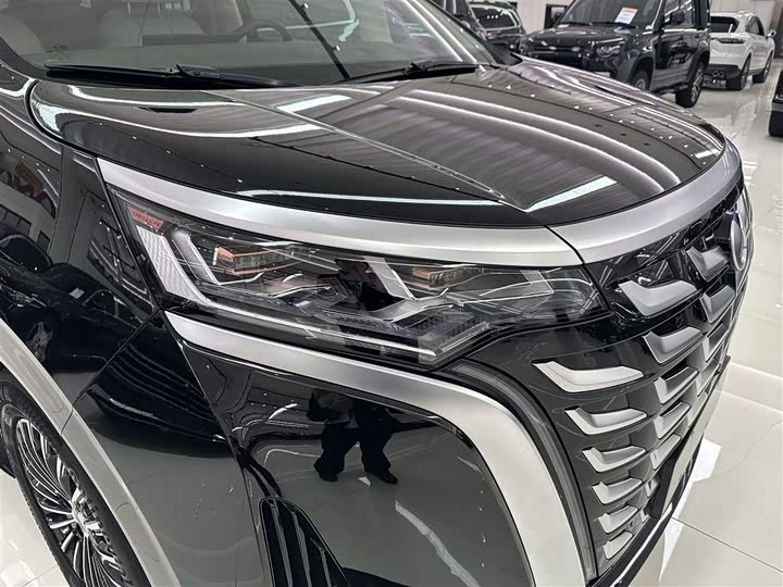 Фото 3 - Denza D9