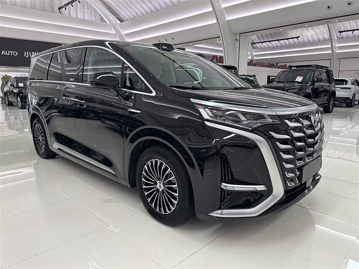 Фото 4 - Denza D9