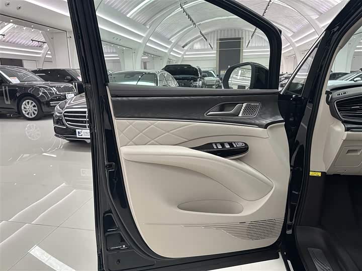 Фото 6 - Denza D9