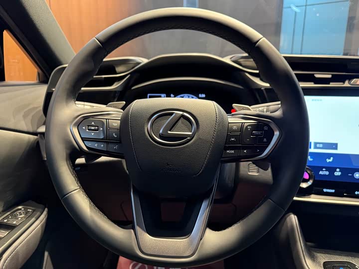 Фото 7 - Lexus RZ