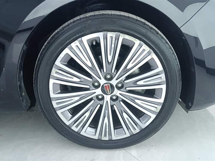 Фото 6 - Hongqi H5