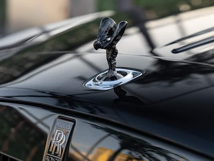 Фото 9 - Rolls-Royce Wraith