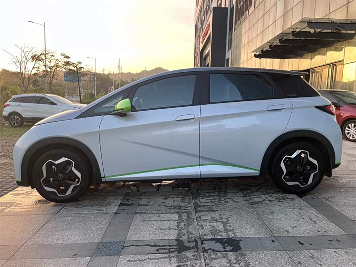 Фото 3 - BYD Dolphin